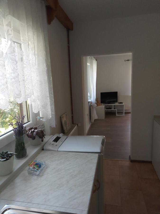 Apartment With A View Bohinjska Bistrica Exterior photo